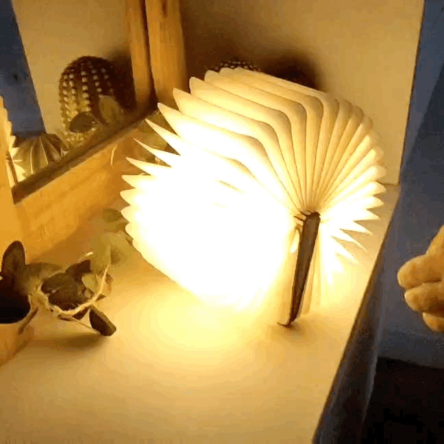 Light book : La Lámpara Libro que Transforma tu Experiencia
